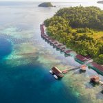 Papua Paradise