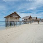 Papua Paradise