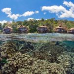 Papua Paradise