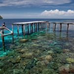 Papua Paradise