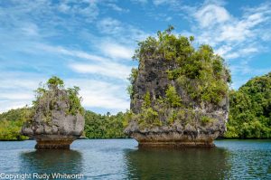 Papua Paradise 5 Papua Paradise