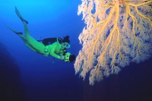 Palau Underwater Photography Pozzoli