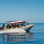 Paradise Dive Boat