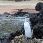 Galapagos Sky 20 Galapagos