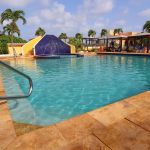 divi flamingo