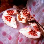 Porcelain Crab 2Manado
