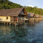 Papua Explorers resort