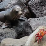 Galapagos Sky 22 Galapagos