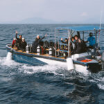 Skiff 61