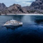 Solitude Gaia profile