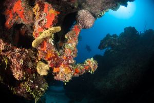 Turks & Caicos Explorer II 9 TCX2