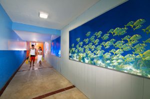 Tunnel to Beach Club
