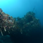 Wreck Carnatic ©Patrick Verhey