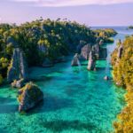 YAFAF PEAK sequoiajpg