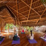 Yoga class in treehouse