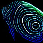 atmosphere 020 1024x682