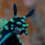 atmosphere 025 1024x682