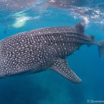 atmosphere 08 1024x682