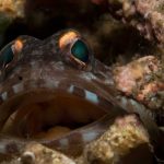 atmosphere 09 1024x682