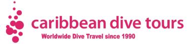 Caribbean Dive Tours