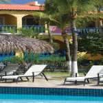 divi flamingo