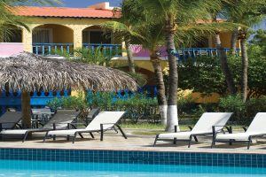 divi flamingo