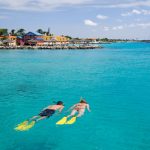 divi flamingo 06 1024x682