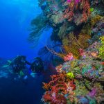 Beqa Lagoon Resort