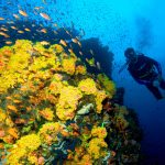 Marco Vincent Dive Resort 19 fun diving