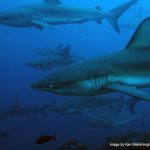 Galapagos Sky 18 Ecuador