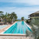 lions dive beach resort