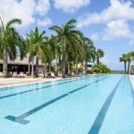 lions dive beach resort