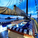 Adelaar Cruises
