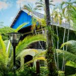 lions dive beach resort