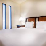 lions dive beach resort