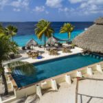 Buddy Dive Resort